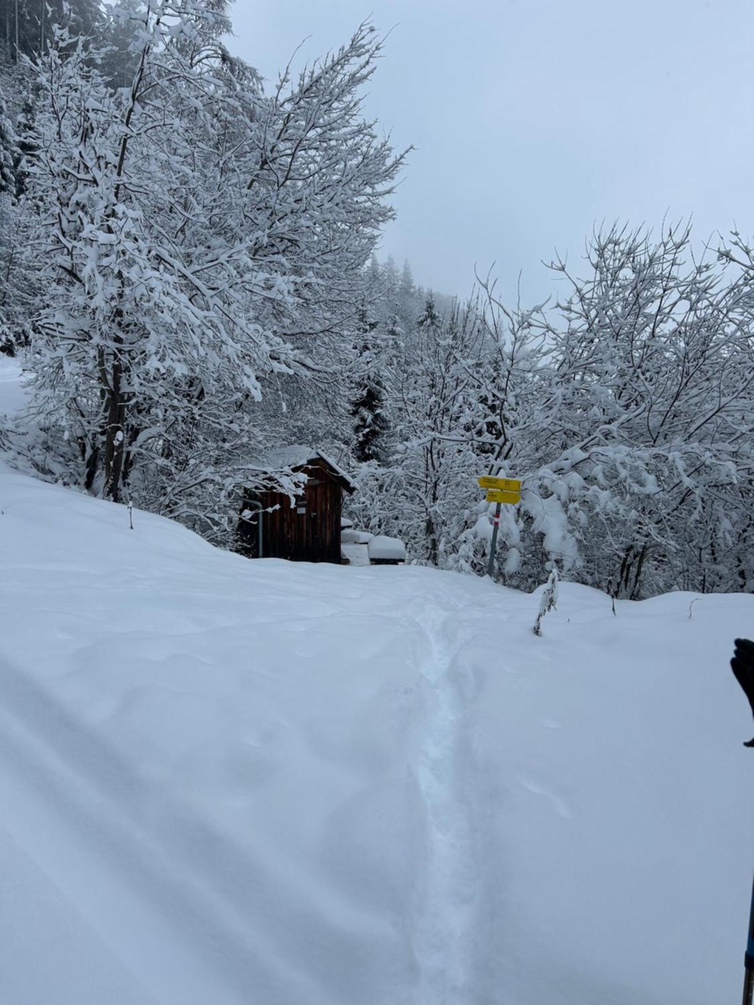 Haus Laubreuter Apartman Kaprun Kültér fotó